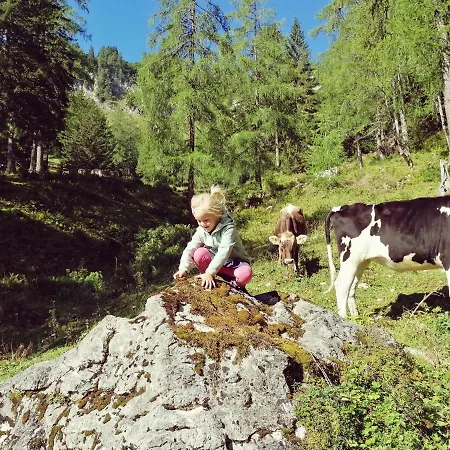 Reithartlhof * Bad Mitterndorf