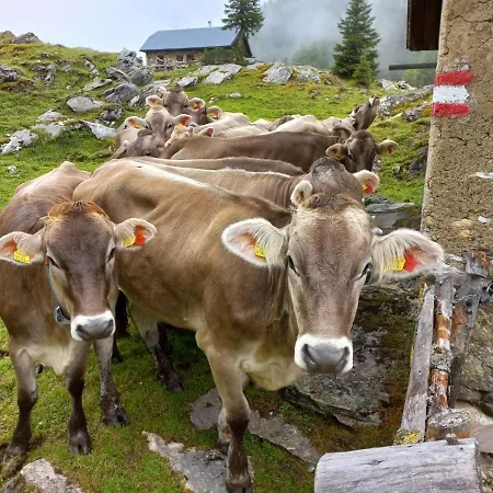 Reithartlhof Alojamento de Turismo Rural *