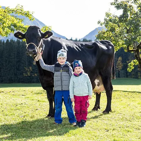 Reithartlhof Alojamento de Turismo Rural Bad Mitterndorf
