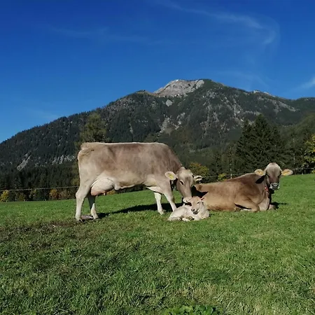 Reithartlhof Alojamento de Turismo Rural *