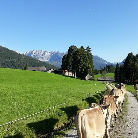Alojamento de Turismo Rural Reithartlhof *