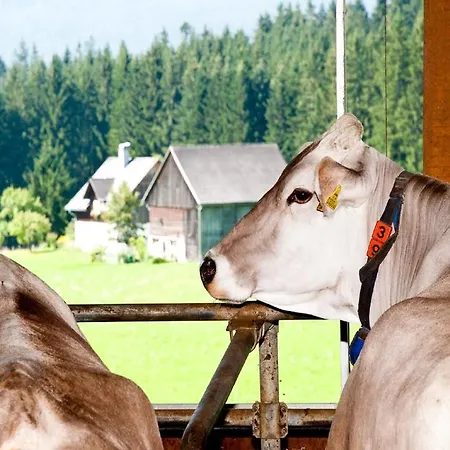 Reithartlhof